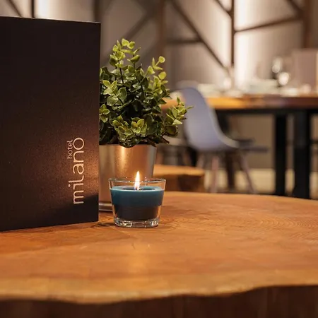 Hotel Milano &